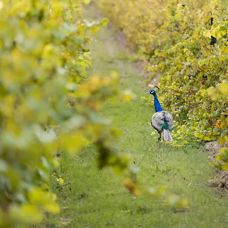 Gasthof Chateau De Campuget 4*