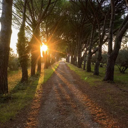 Chateau De Campuget Gasthof 4*